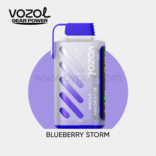 Vozol Gear Power 20000 Blueberry Storm